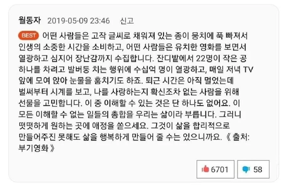 푸바오에 몰입하게 된 사연들 | 인스티즈