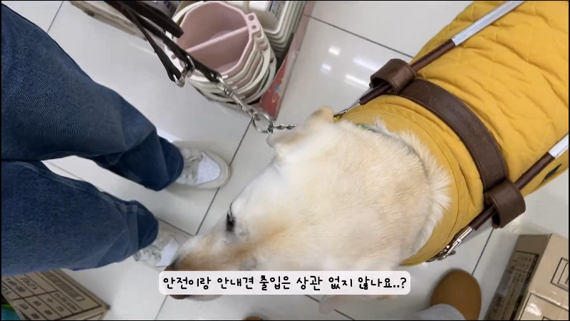 시각장애 안내견 출입을 꺼리는 다이소 직원.jpg | 인스티즈
