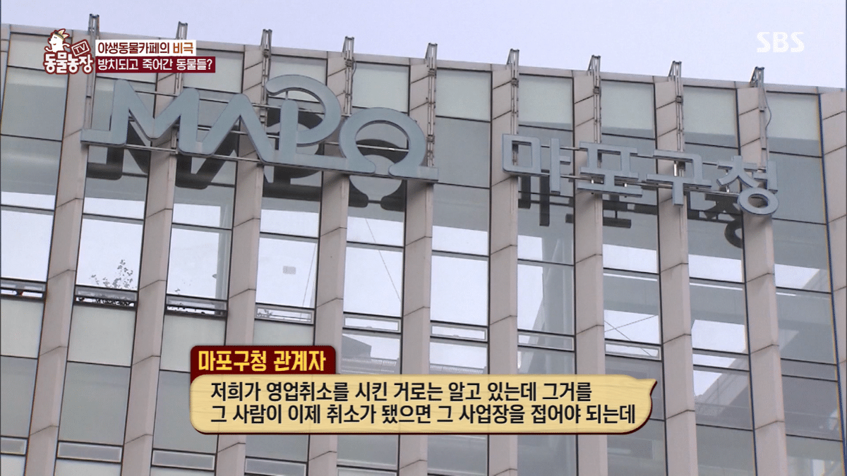현재 난리난 동물농장에 나온 동물카페 사장.jpg | 인스티즈