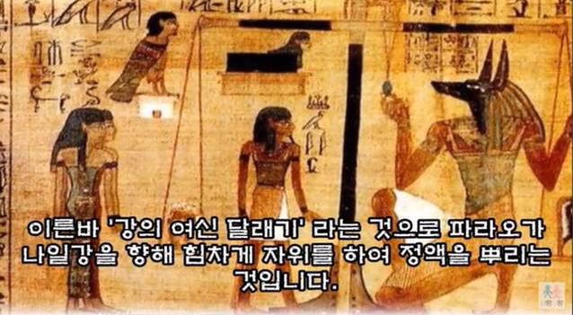 이집트 파라오 자위의 진실 | 인스티즈