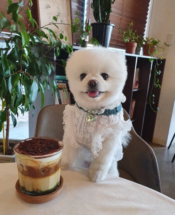 만당구장 이미지