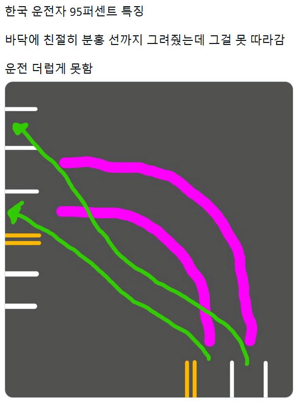 대다수 한국 운전자 특징 | 인스티즈