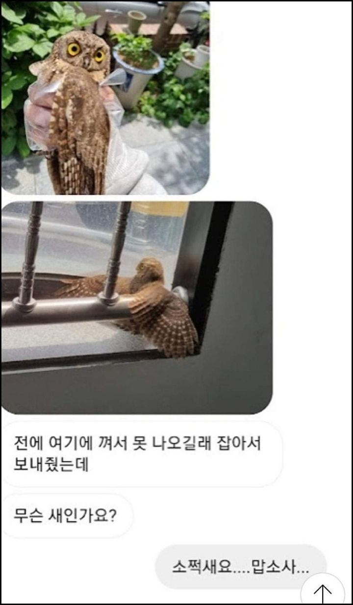 모르는게 없는 유튜버ㅋㅋㅋㅋㅋㅋ.jpg | 인스티즈