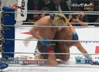 홍만이형 온몸에서 천연 스테로이드 나오던 시절.gif | 인스티즈