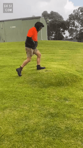 제대로 농익은 여드름 짜기.gif | 인스티즈