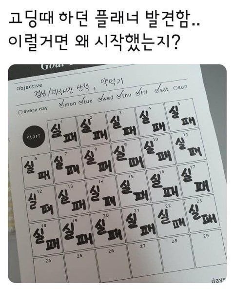 어깨가 평양이세요 | 인스티즈