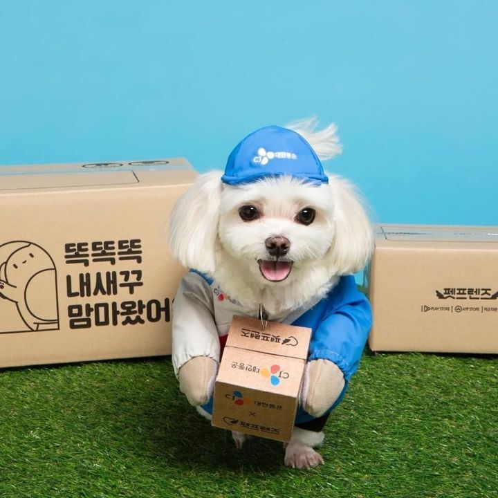 명예 택배사원 경태 프로필사진.jpg | 인스티즈