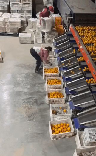 오렌지 작업장에서 일하는 여자 | 인스티즈