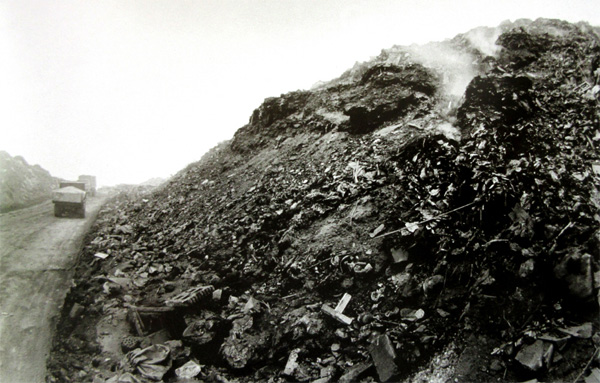 최근 서울에 온 사람들은 모른다는 서울 난지도 공원 예전 모습 | 인스티즈