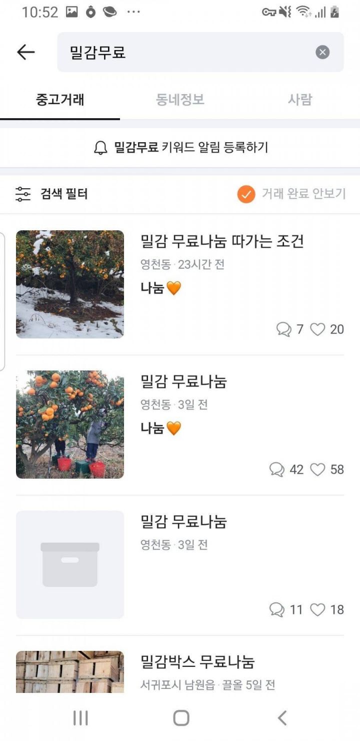 제주도식 무료나눔.JPG | 인스티즈