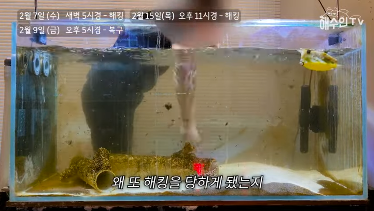 유튜브 계정이 3번이나 해킹 당한 이유 | 인스티즈