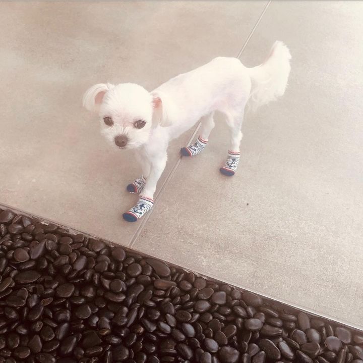 cf1e64a7f05072c4e92c92a08230a62970dec05d