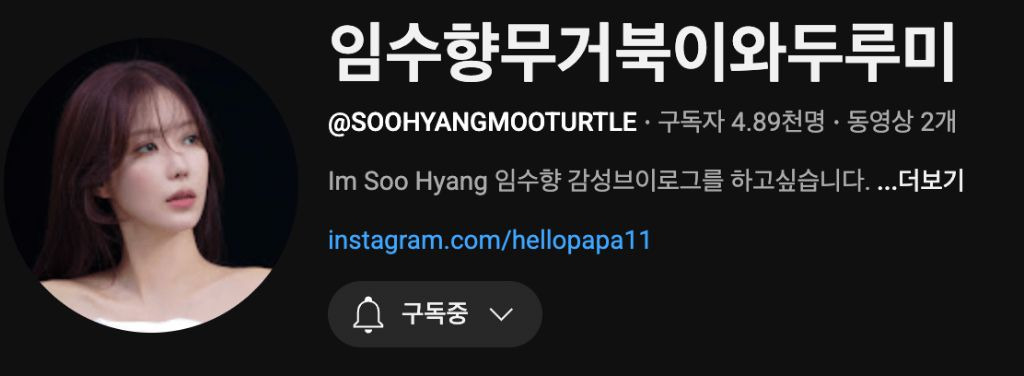 배우 임수향의 유튜브 채널명 | 인스티즈