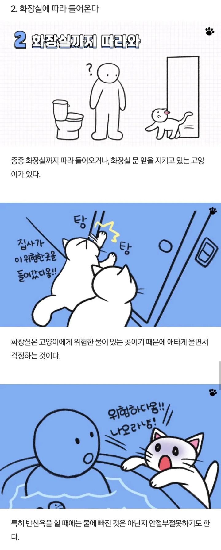 고양이가 하는 행동들 | 인스티즈