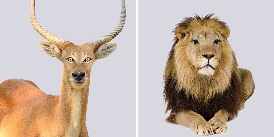 눈매의 중요성 | 인스티즈