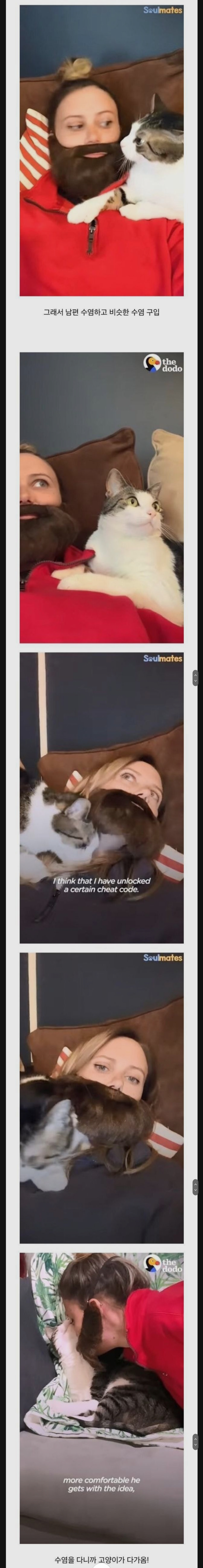 고양이가 남편만 좋아하는이유 | 인스티즈