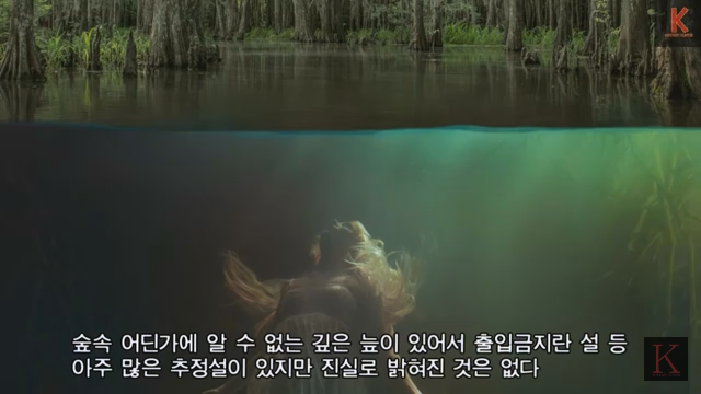 미스테리한 일본의 출입금지된 도심 한복판의 숲 | 인스티즈