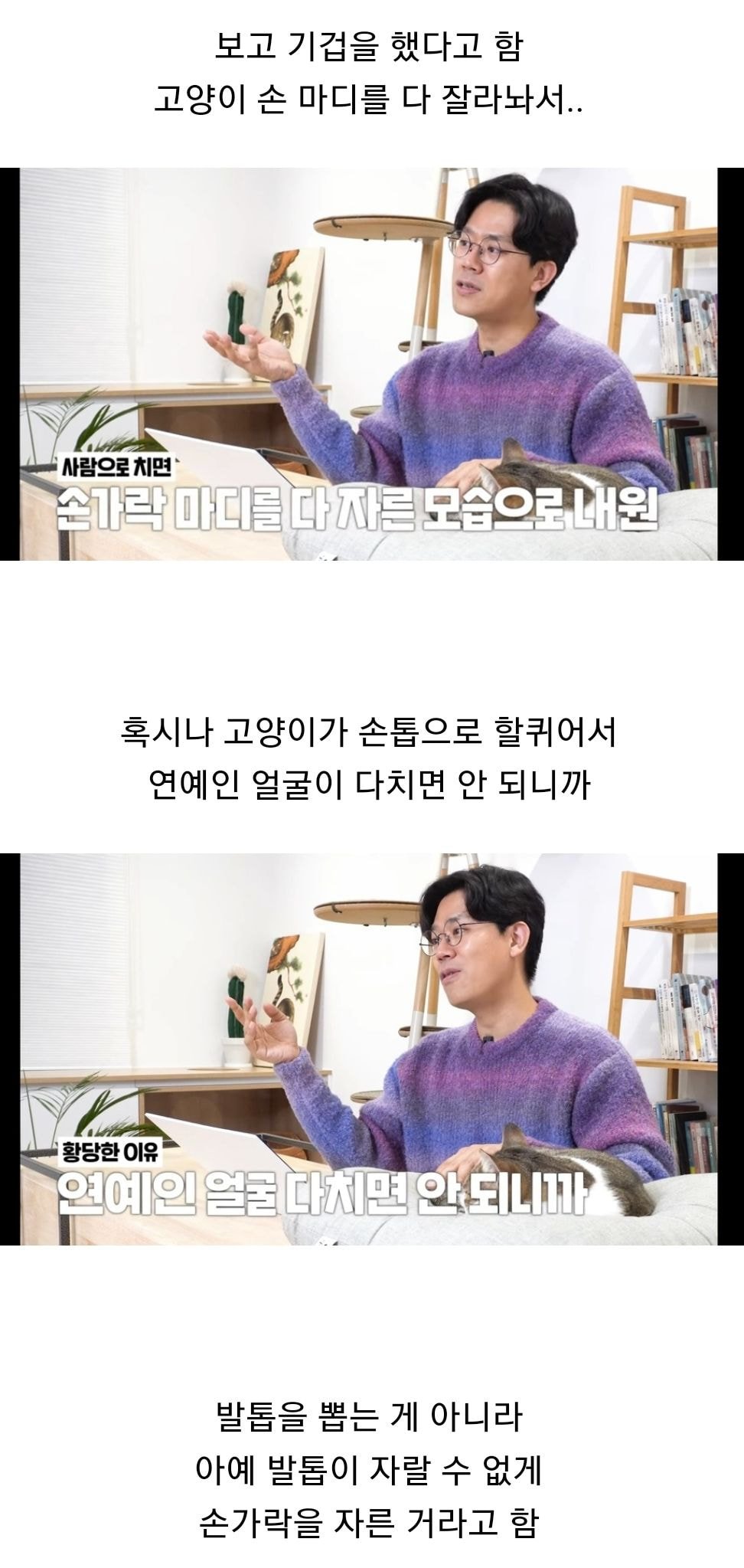 유명 연예인이 키우는 고양이 보고 충격먹었다는 수의사 유튜버 ....jpg | 인스티즈
