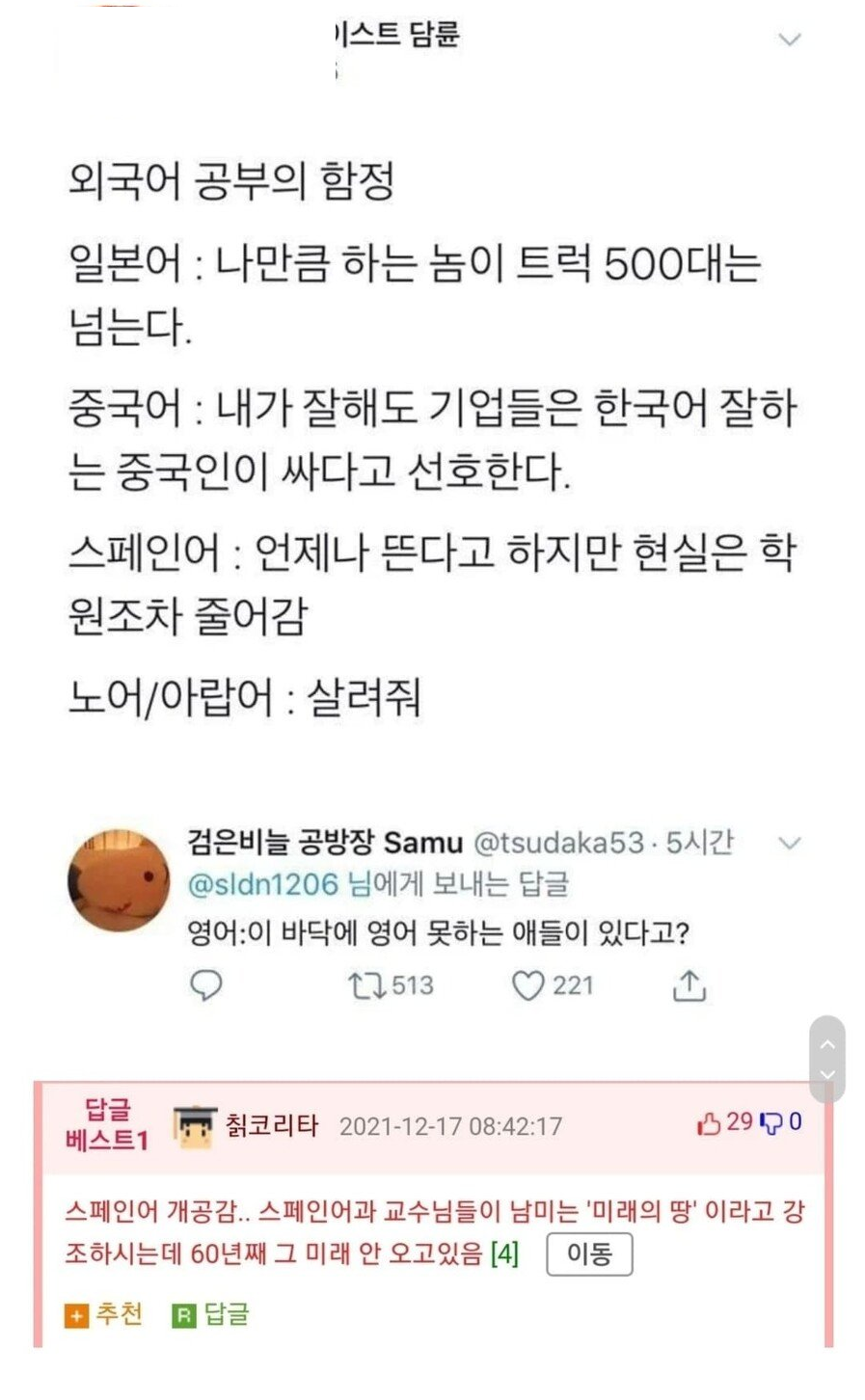 외국어 공부의 함정.jpg | 인스티즈