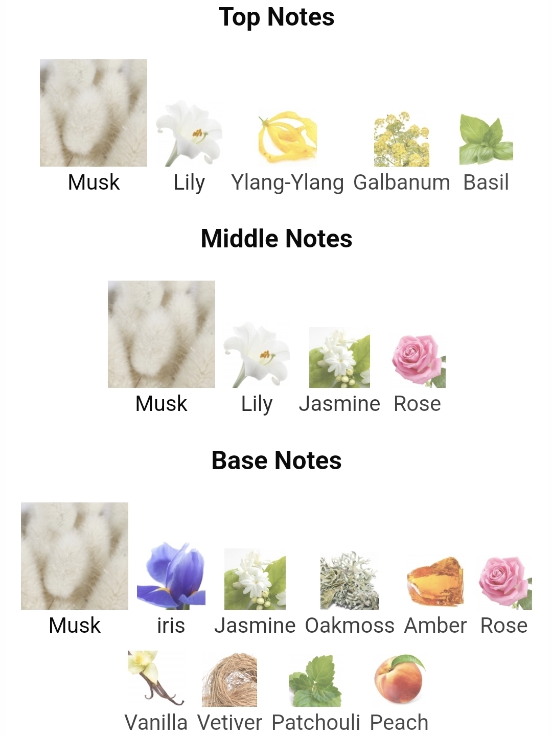 가을겨울에 쓰기 좋은 머스크 노트 향수들.jpg | 인스티즈