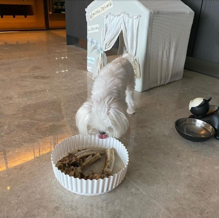 d028bd8fc3da330cf62c4493208d21db4c007509