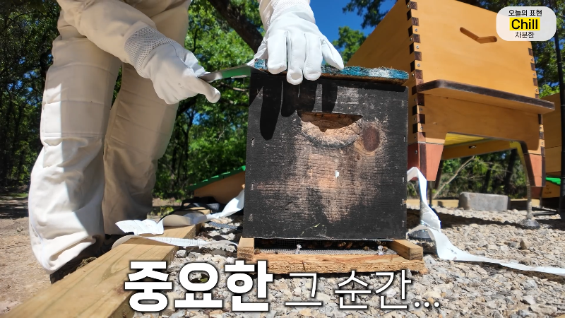 양봉 시작한 올리버쌤 근황.jpg | 인스티즈