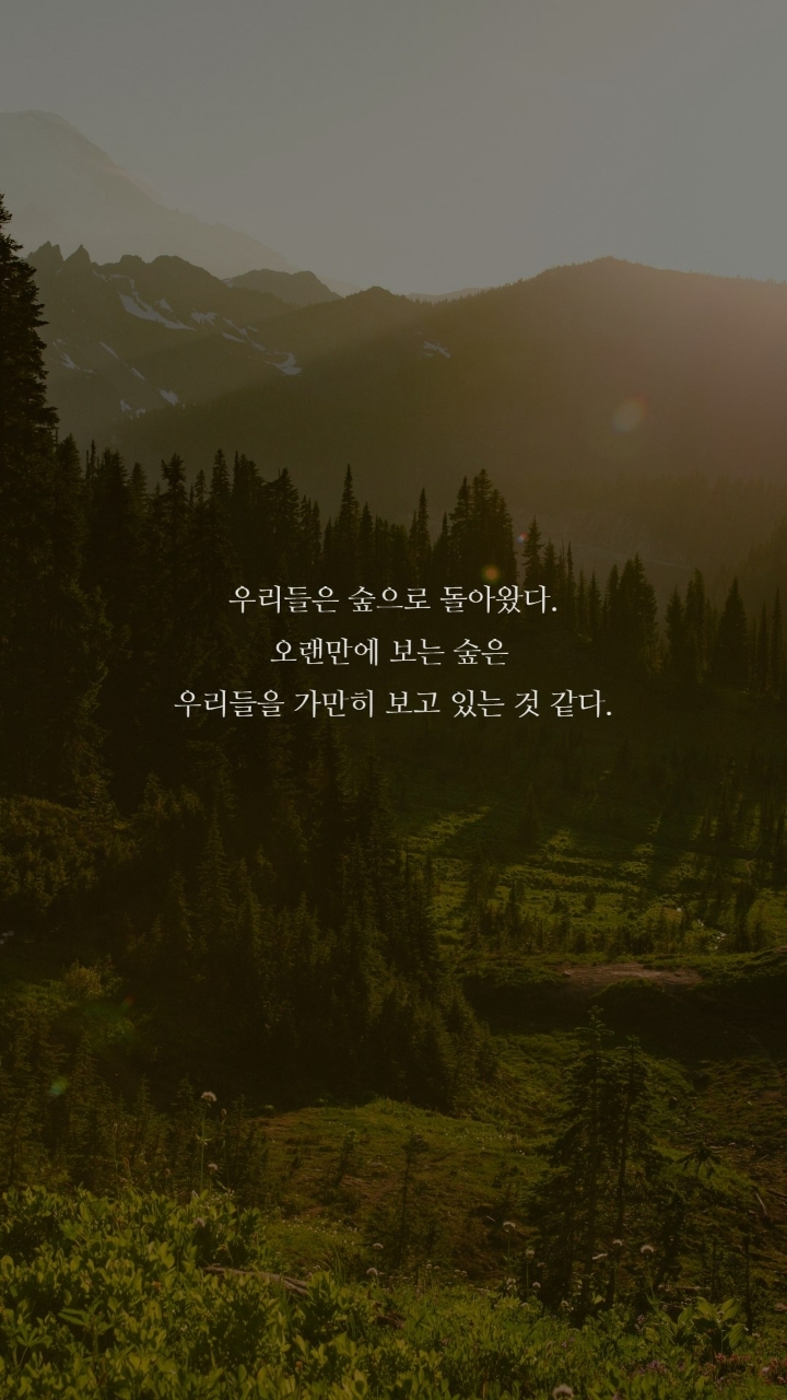 보노보노 명대사 | 인스티즈
