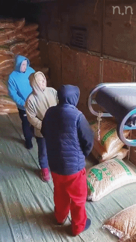 고인물 삼인방..GIF | 인스티즈