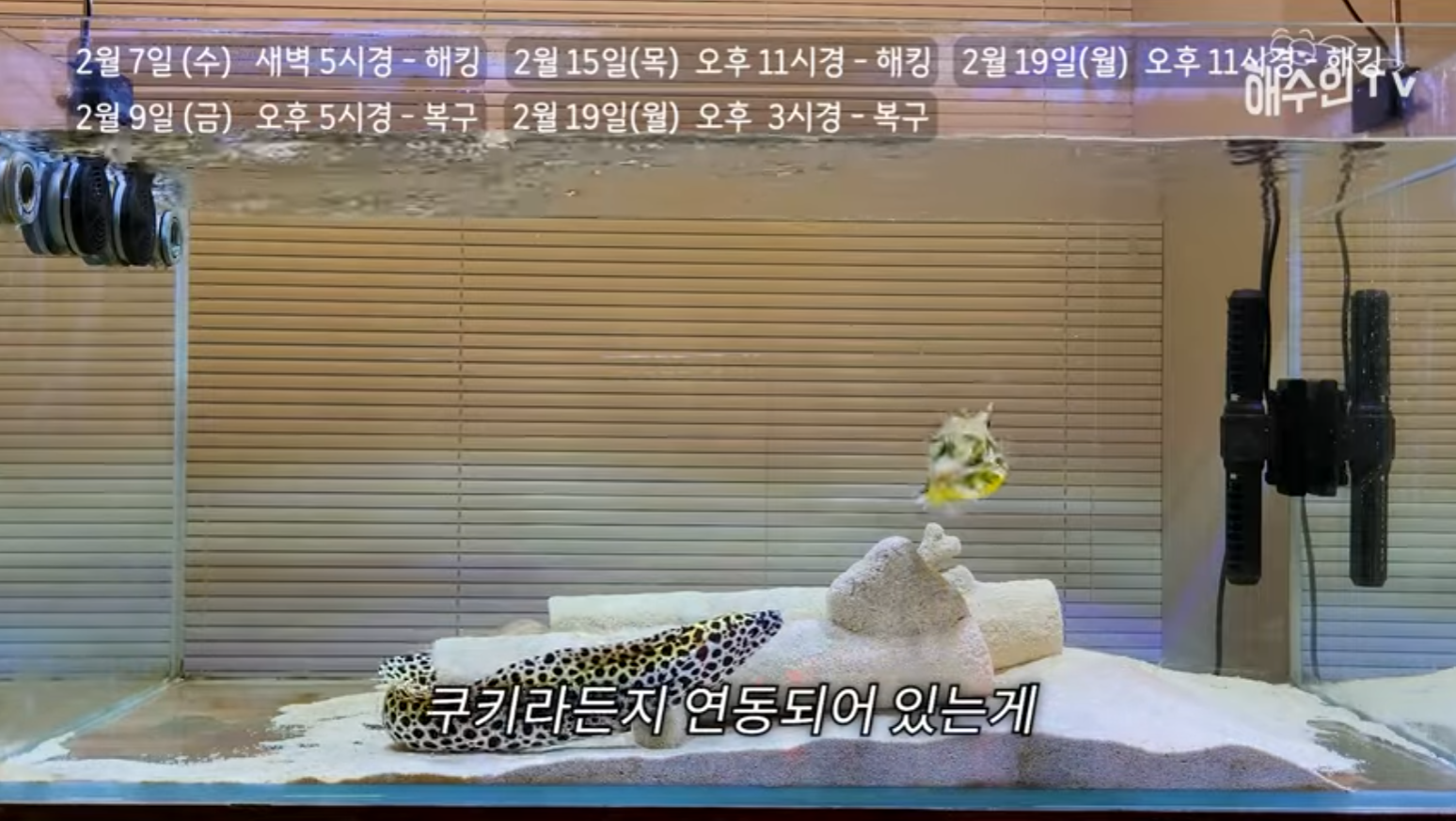 유튜브 계정이 3번이나 해킹 당한 이유 | 인스티즈