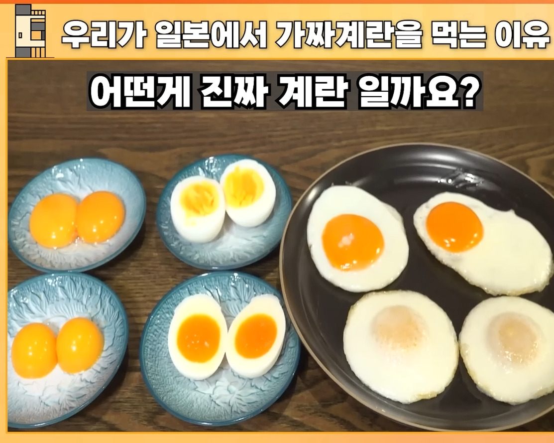 ???:일본 계란은 차원이 다름 | 인스티즈