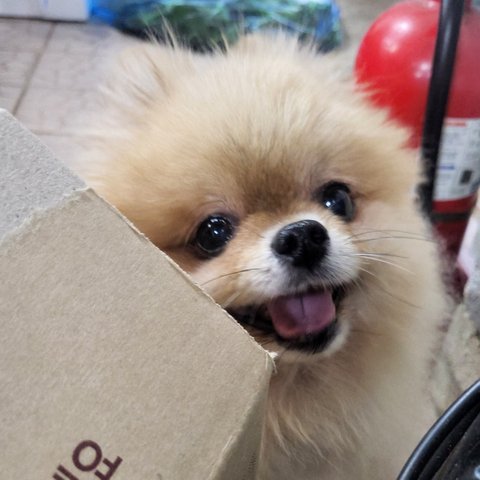 보고싶은 우리 맥주 | 인스티즈