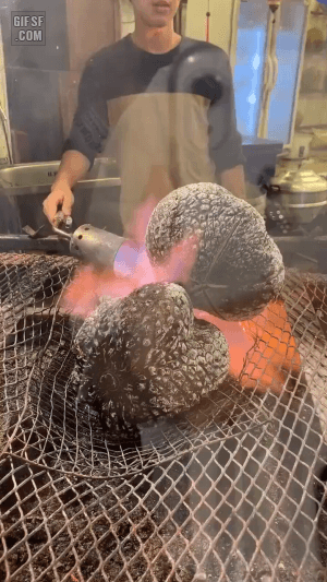 방콕 야시장에서 파는 구운 두리안 | 인스티즈