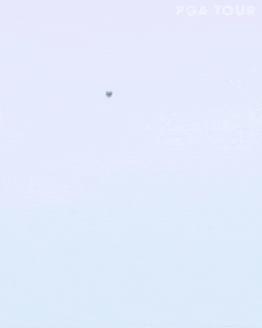 홀인원 보다 기분 좋은 샷.gif | 인스티즈