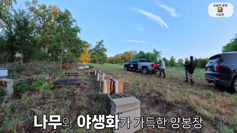 양봉 시작한 올리버쌤 근황.jpg | 인스티즈