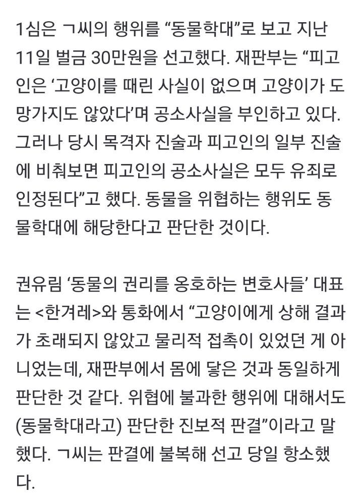 법원 : 물리적(직접적) 가해가 없었더라도 길고양이를 위협한 경우 벌금형 | 인스티즈