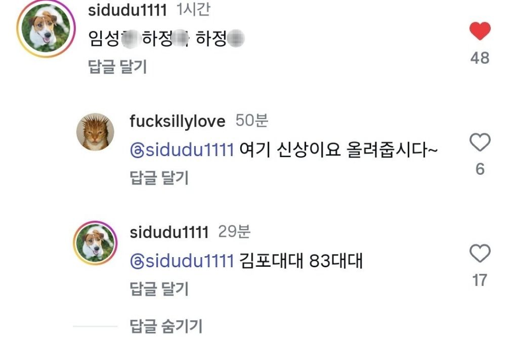 CCTV 공개된 거제 비비탄 노견 사망 사건.gif | 인스티즈