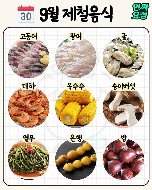 월별 제철 음식 | 인스티즈