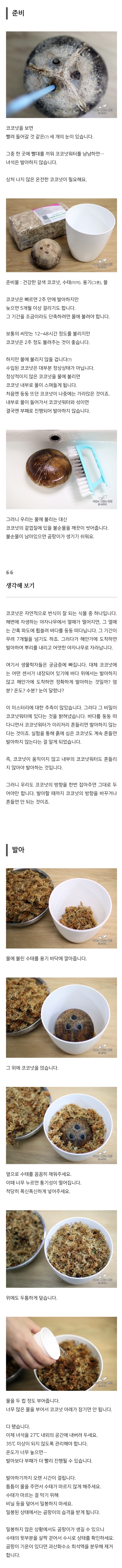 집에서 코코넛 키우기 | 인스티즈