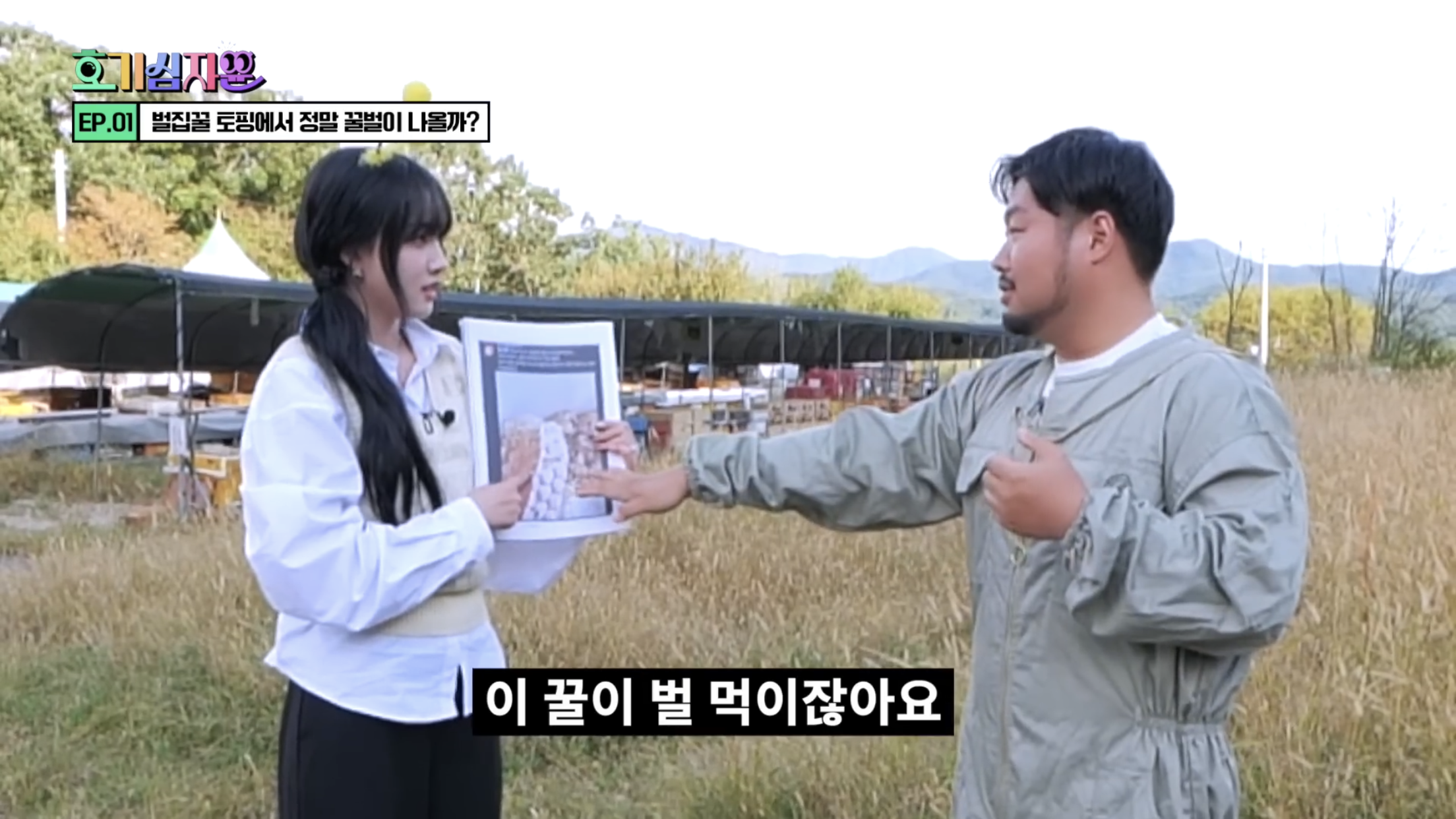 요거트 아이스크림 벌집꿀에서 나오는 벌의 정체............jpg | 인스티즈