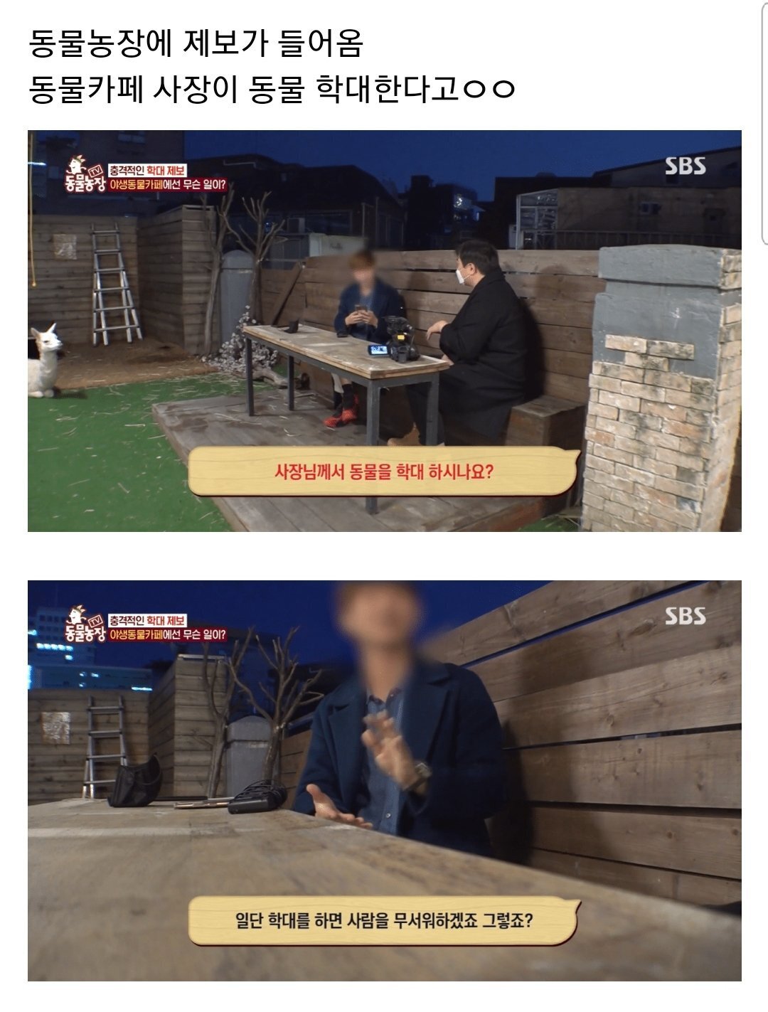 현재 난리난 동물농장에 나온 동물카페 사장.jpg | 인스티즈