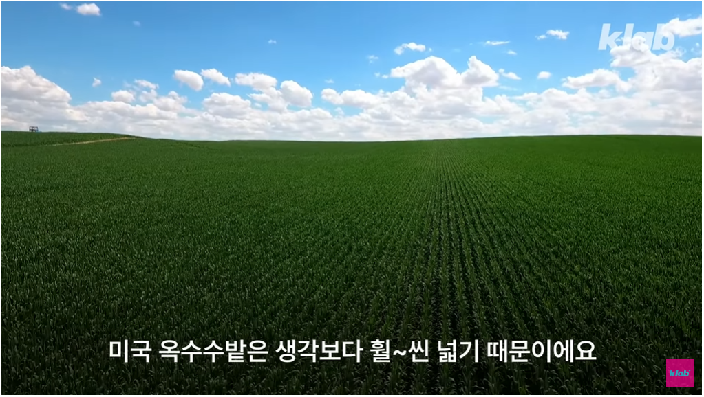 미국 옥수수밭 들어가면 길 잃는 이유 .jpg | 인스티즈
