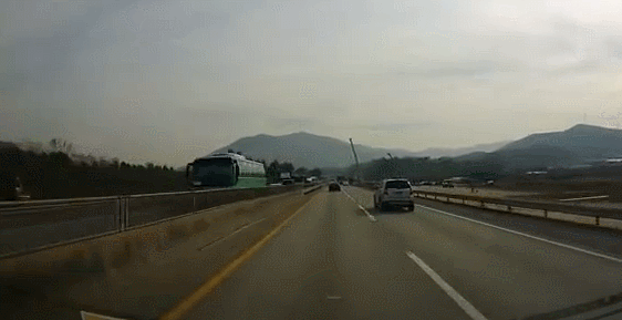 도로에서 차량 운전자 반응속도.gif | 인스티즈