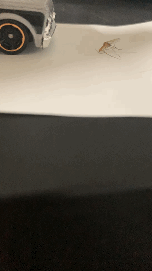 d302d860dfbeb5e4e0809953c4ed7bd305828a81