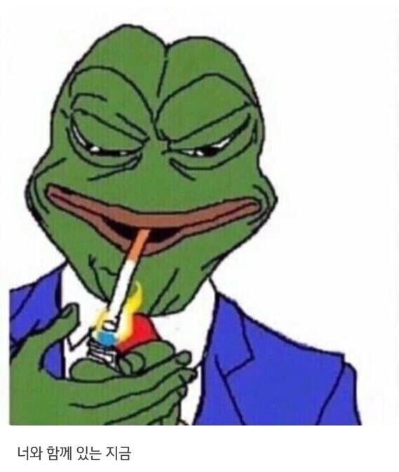 금이 이미지