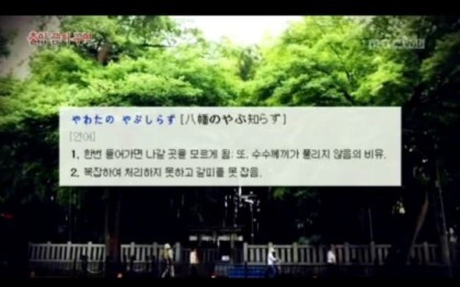 미스테리한 일본의 출입금지된 도심 한복판의 숲 | 인스티즈