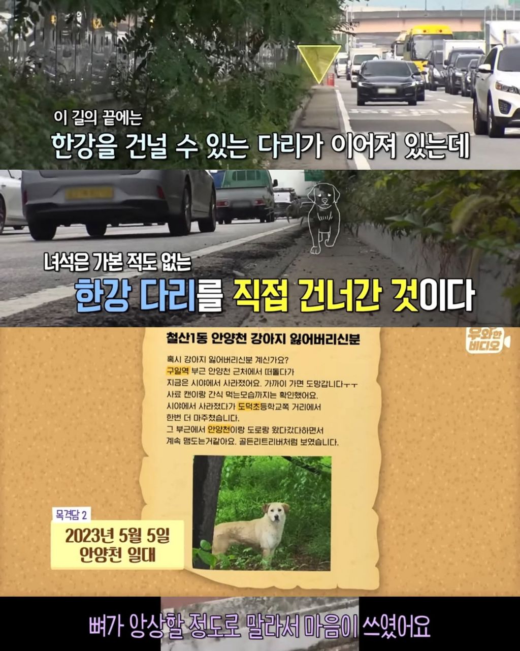 한달만에 집으로 돌아온 댕댕이 | 인스티즈