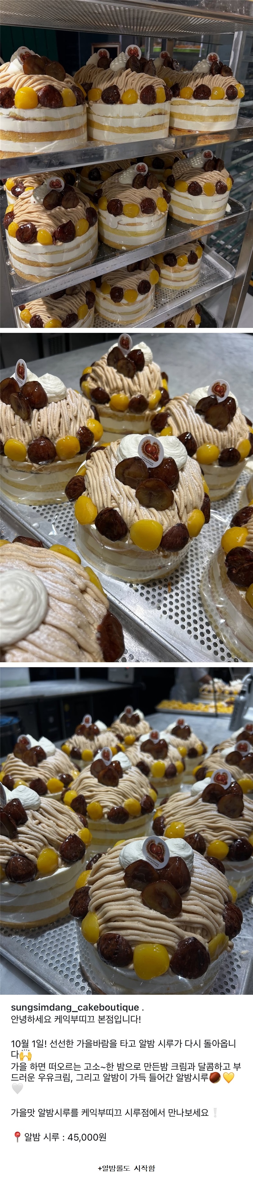 성심당 기간한정 알밤시루 | 인스티즈