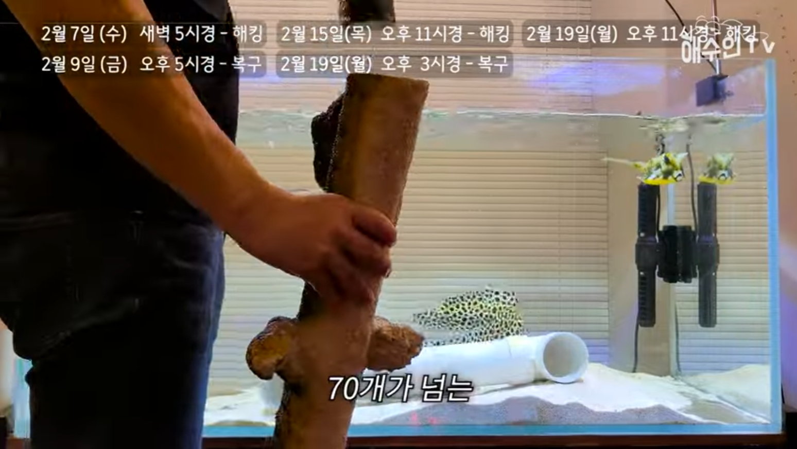 유튜브 계정이 3번이나 해킹 당한 이유 | 인스티즈