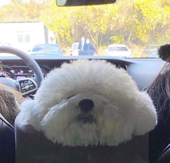 d496858c0f2c712aae88a6a7bfb821d0bcae0b0f