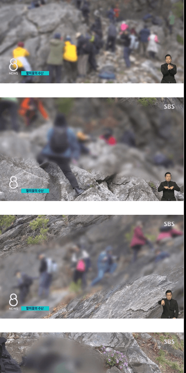 사진작가들이 사진찍고 피사체를 훼손하는 이유 | 인스티즈